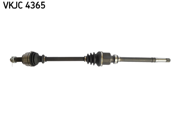 Planetara VKJC 4365 SKF